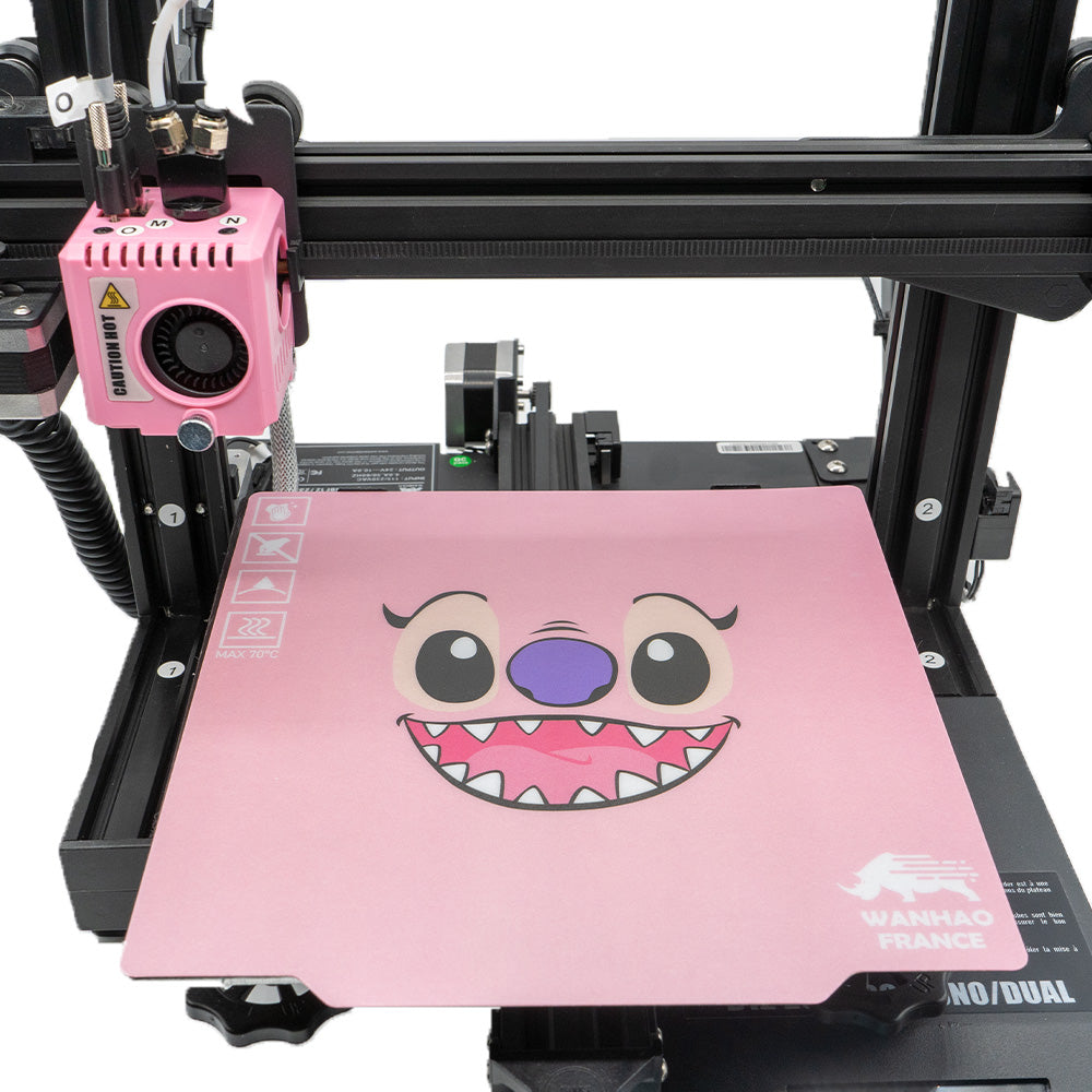 Duplicator 12 / 230 M2 PRO - ANGEL