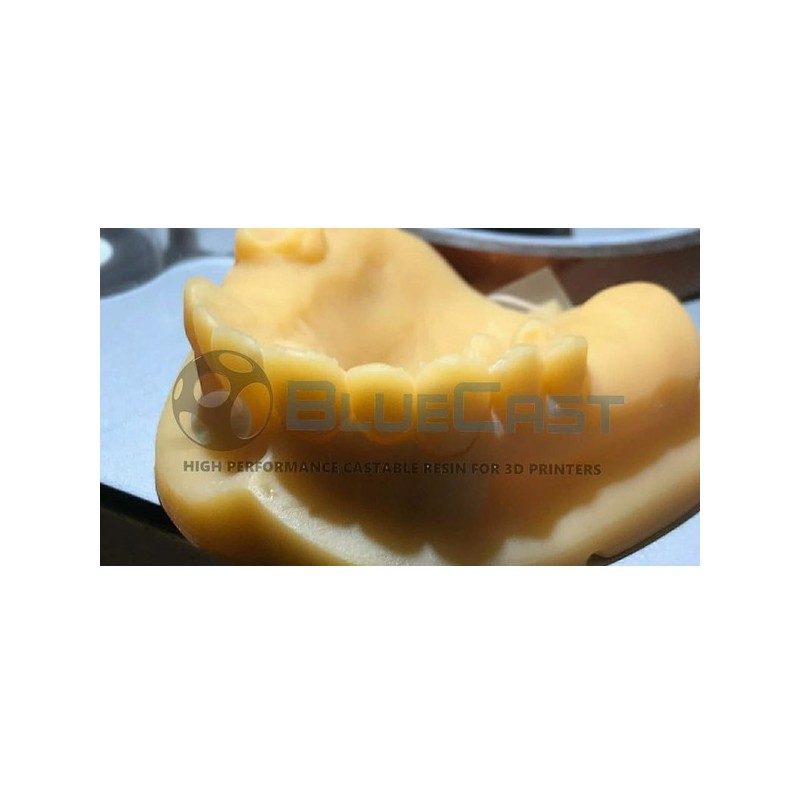 BLUECAST Dental Model DLP / LCD 500gr - wanhao france