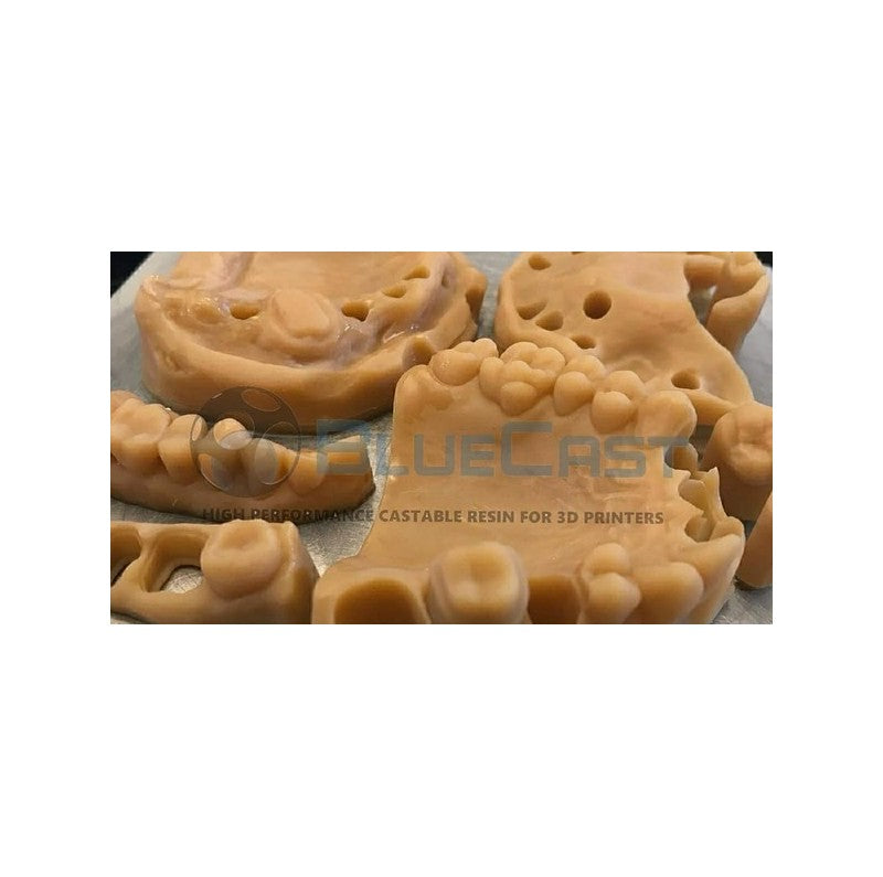 BLUECAST Dental Model DLP / LCD 500gr - wanhao france