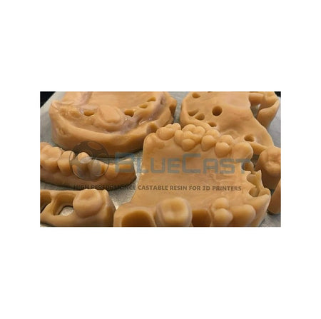 BLUECAST Dental Model DLP / LCD 500gr