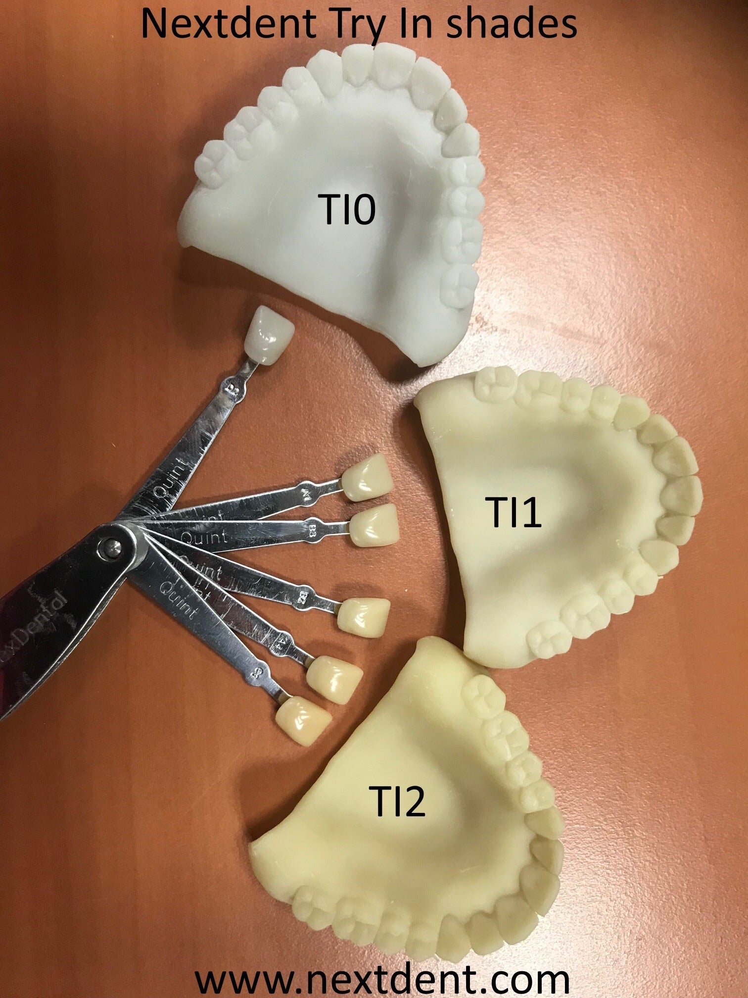 NextDent TRY-IN (Biokompatibel)