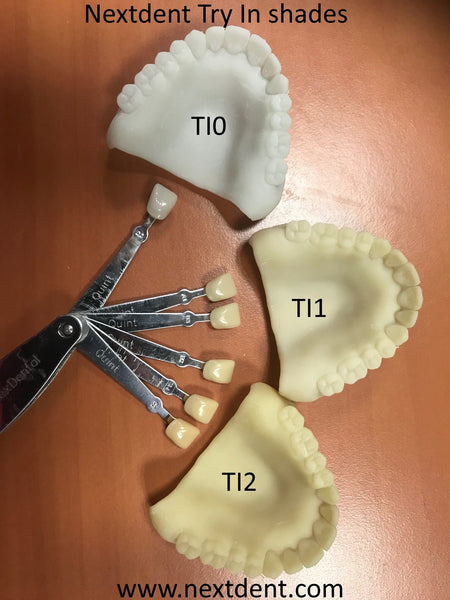 NextDent TRY-IN (Biocompatible)