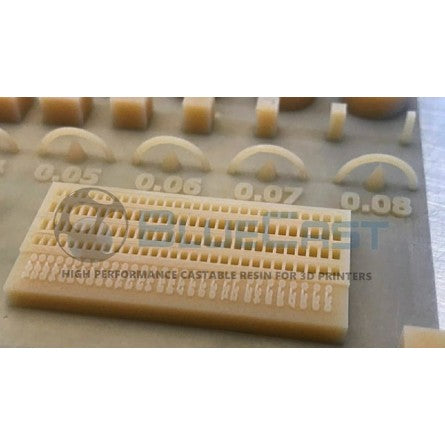 BLUECAST Dental Model DLP / LCD 500gr - wanhao france